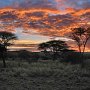 Tanzania, Sunrise at Sinya